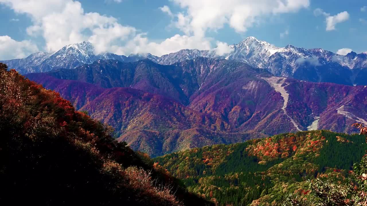 红花绿草的山脉 #1197