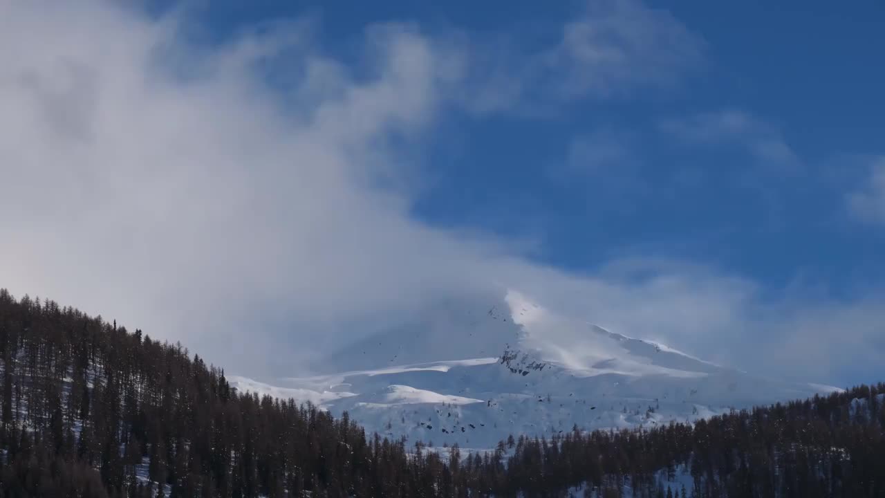 雪山 森林 蓝天 #1427