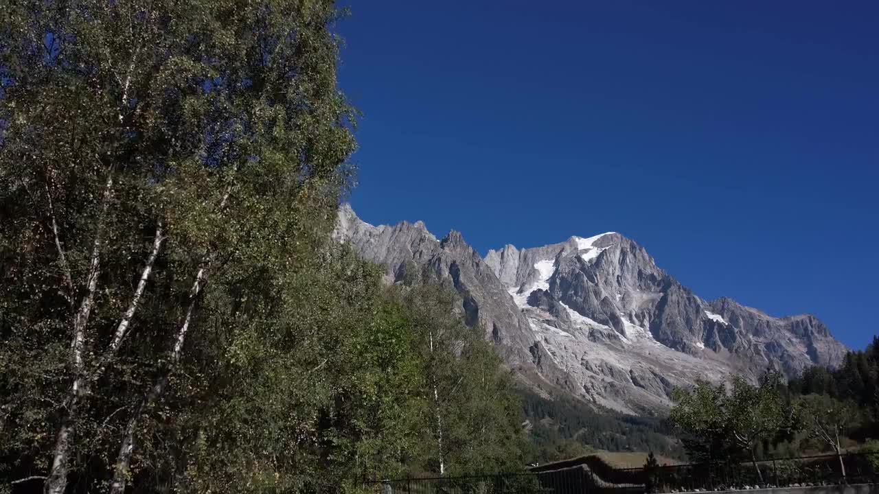 山脉 前景树木 #1163