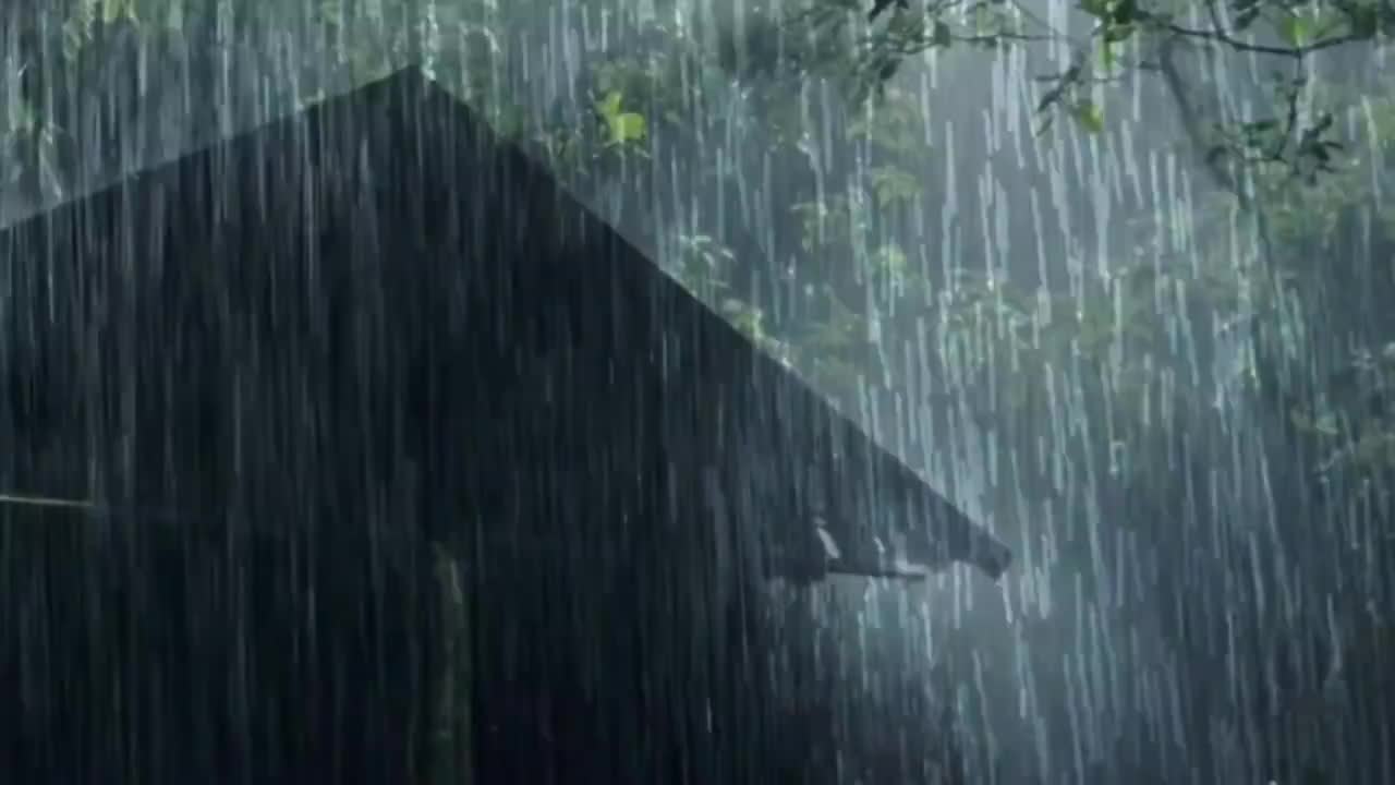 瓢泼大雨空镜 #0883