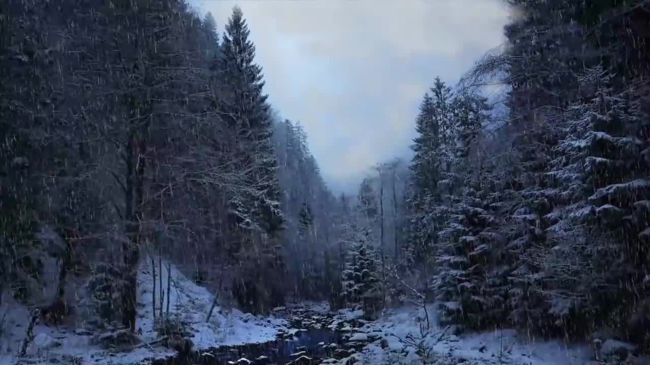 雪中的森林 #1015