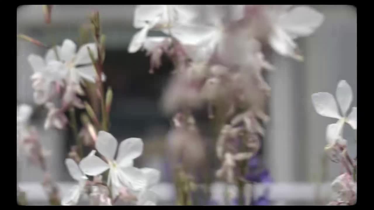 240710肖战法国行 (4)