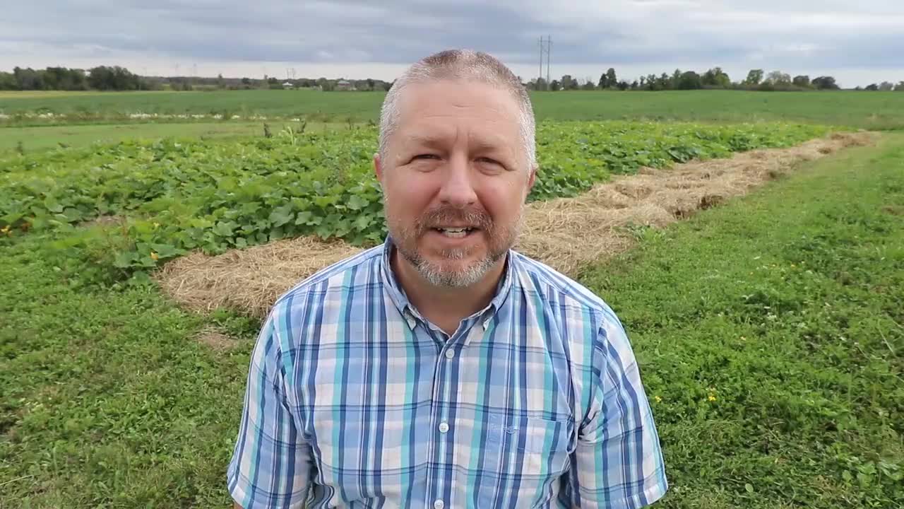 89.[20190910] Learn How to Use Contracti...