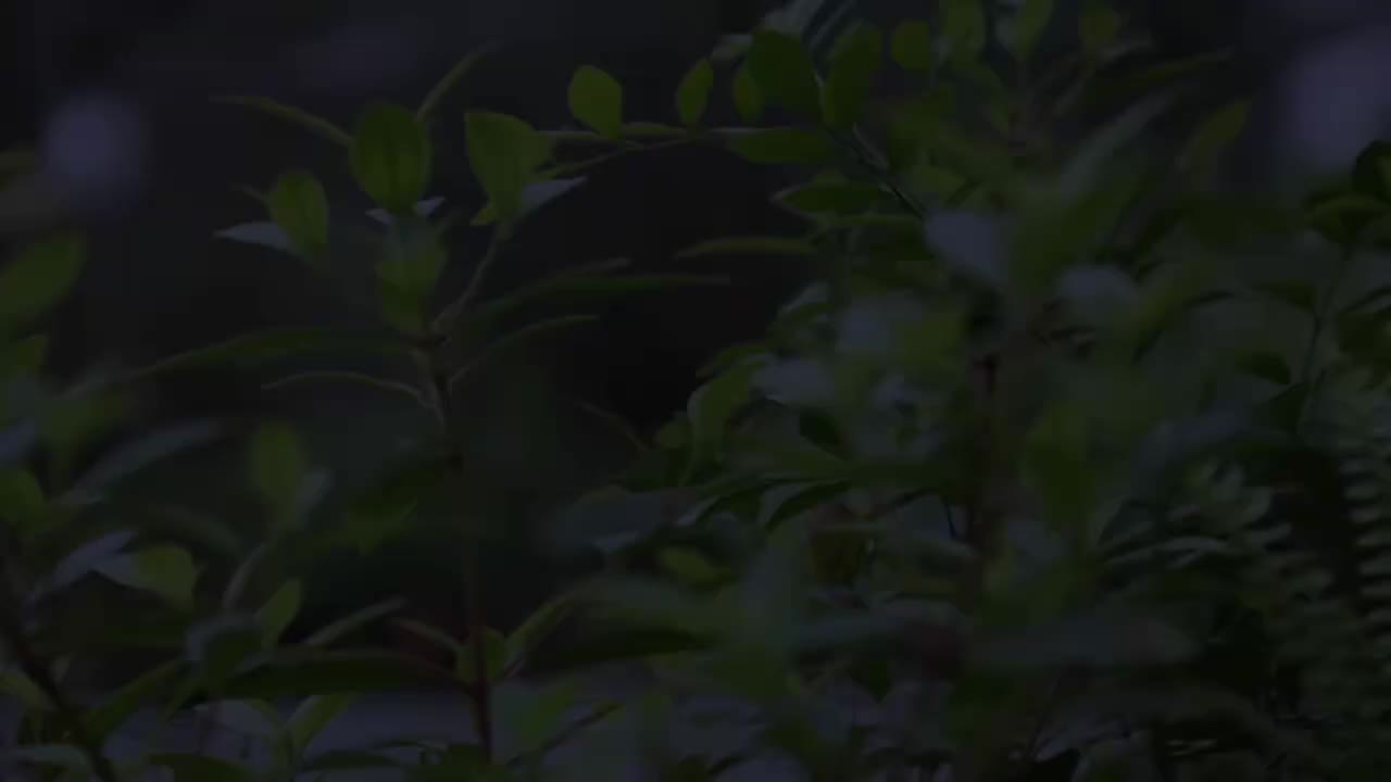 PART.2 开学前的悄悄话+聚餐定格^_−☆