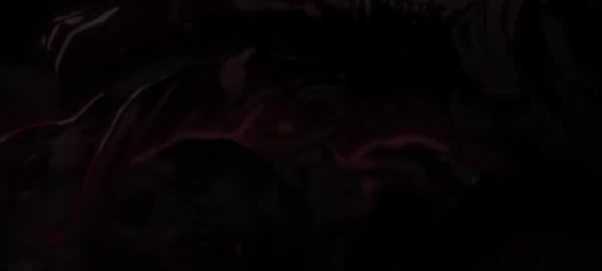 白夜叉降临（CD音质）