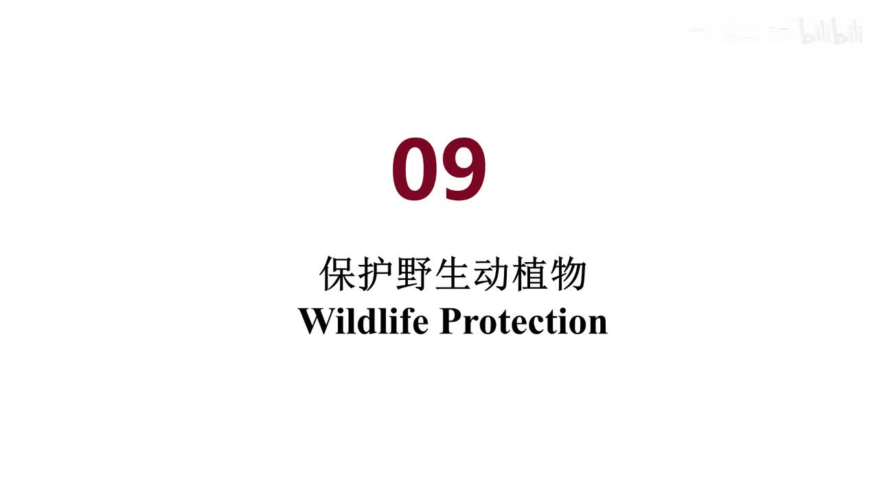 美音 09 Wildlife Protection