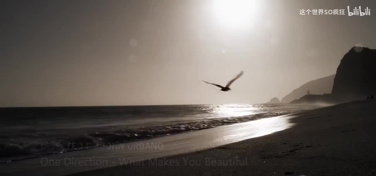 What Makes You Beautiful - One Direction