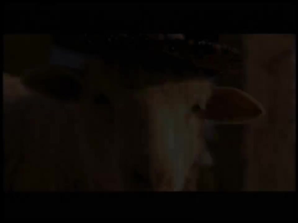 I Still Believe (Remix)