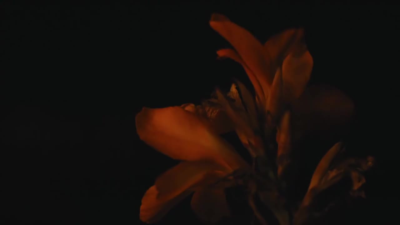 240722肖战法国行 (6)