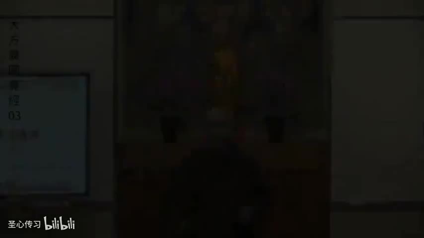 《大方广圆觉经》第3集