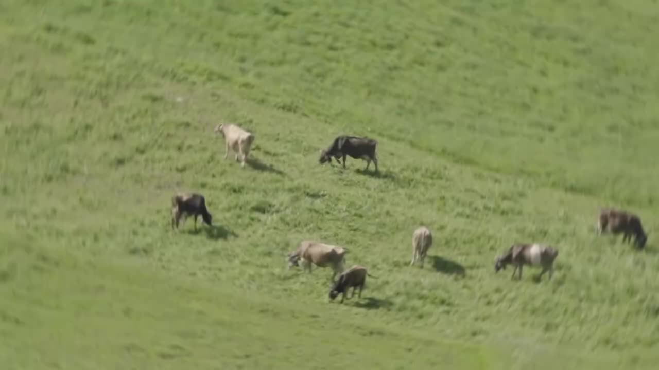 240726肖战法国行 (7)