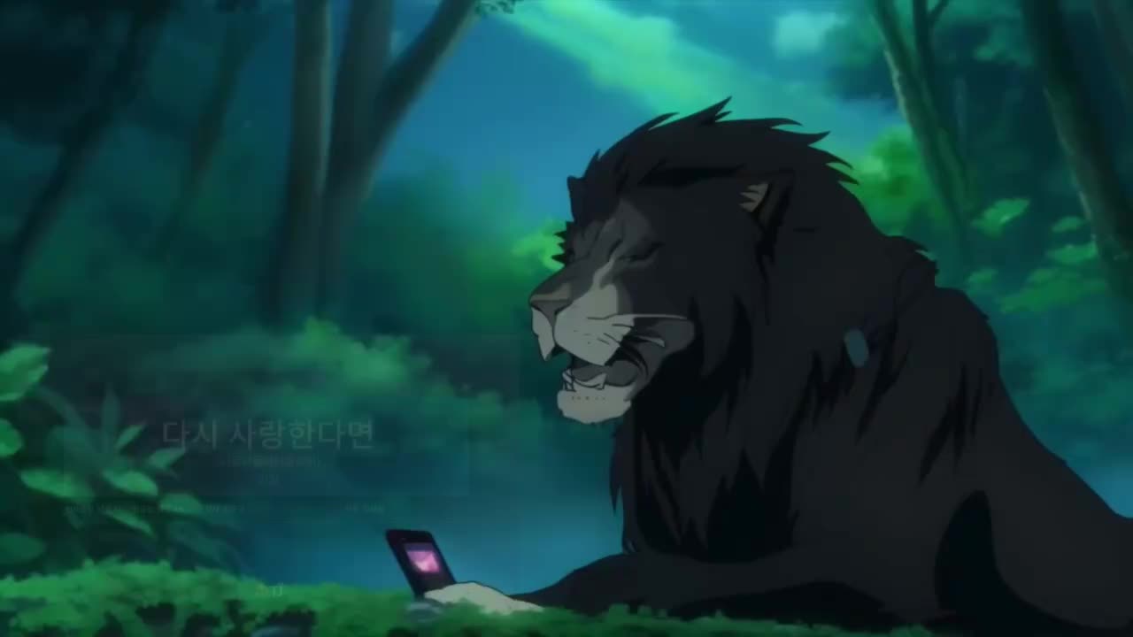 [狮子王子的KTV] 金弼 - 如果再次爱你 (翻唱)