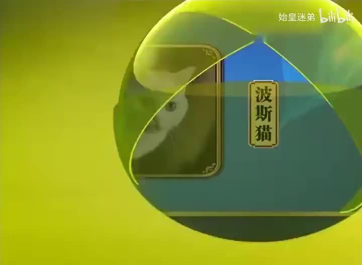 11 - 有“知”就有力量