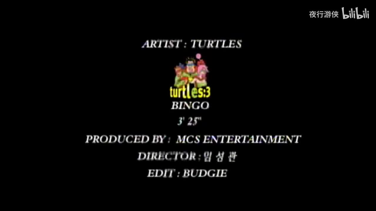 Bingo - Turtles