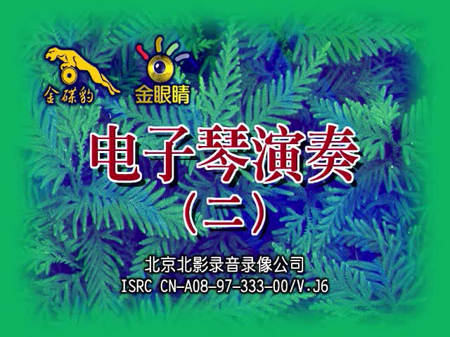 电子琴演奏（二）