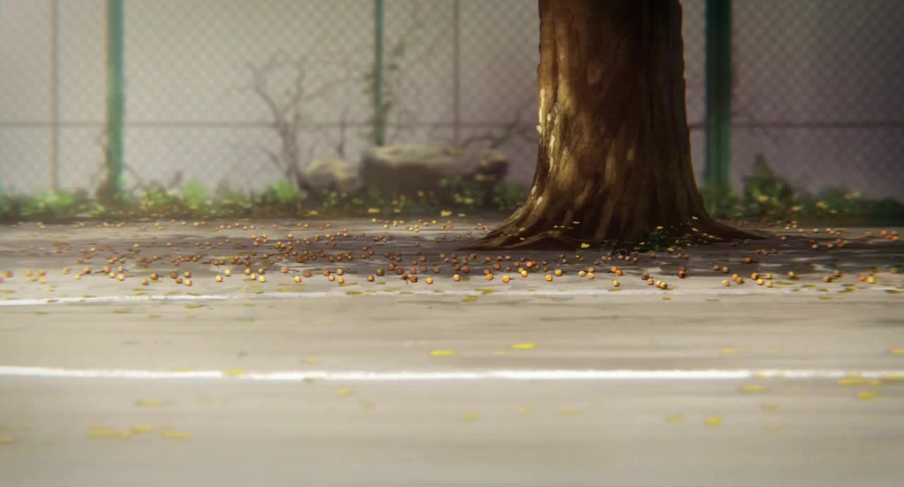 声之形 空镜头 花朵