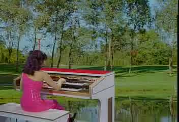 容易受伤的女人