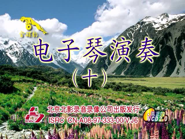 电子琴演奏（十）