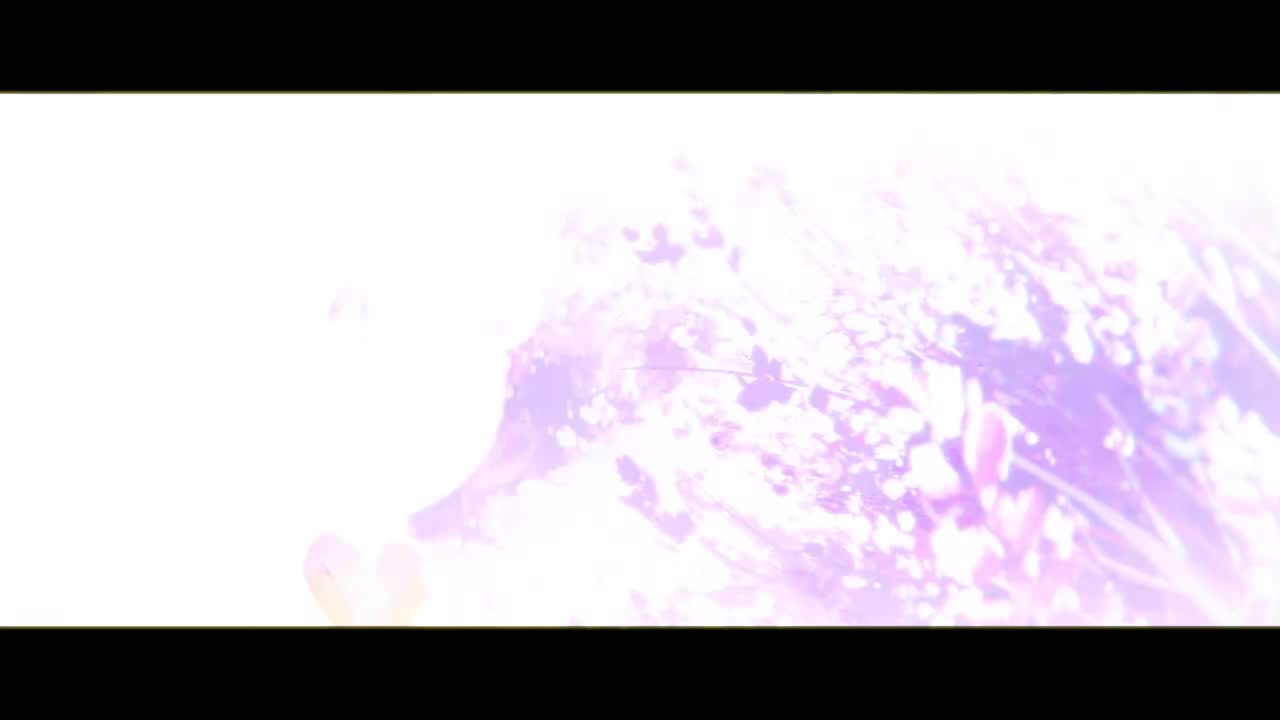 9周年PV1 nippon memoir