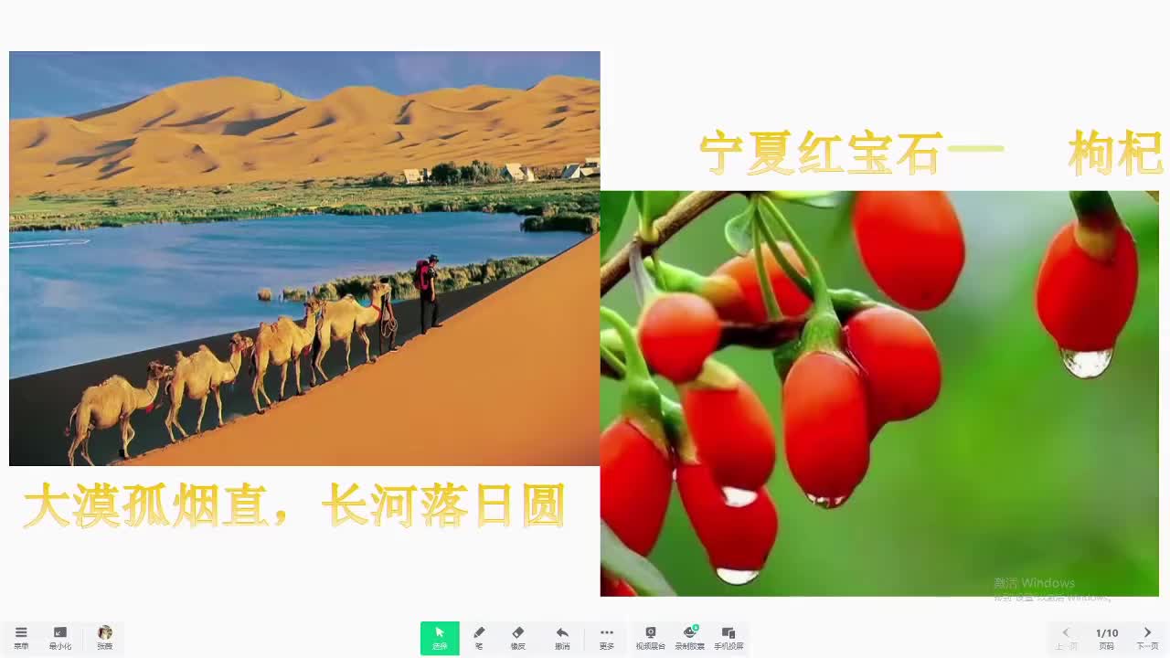 9宁夏中卫市第七中学 初二 物理 张薇 探究凸透镜成像规律