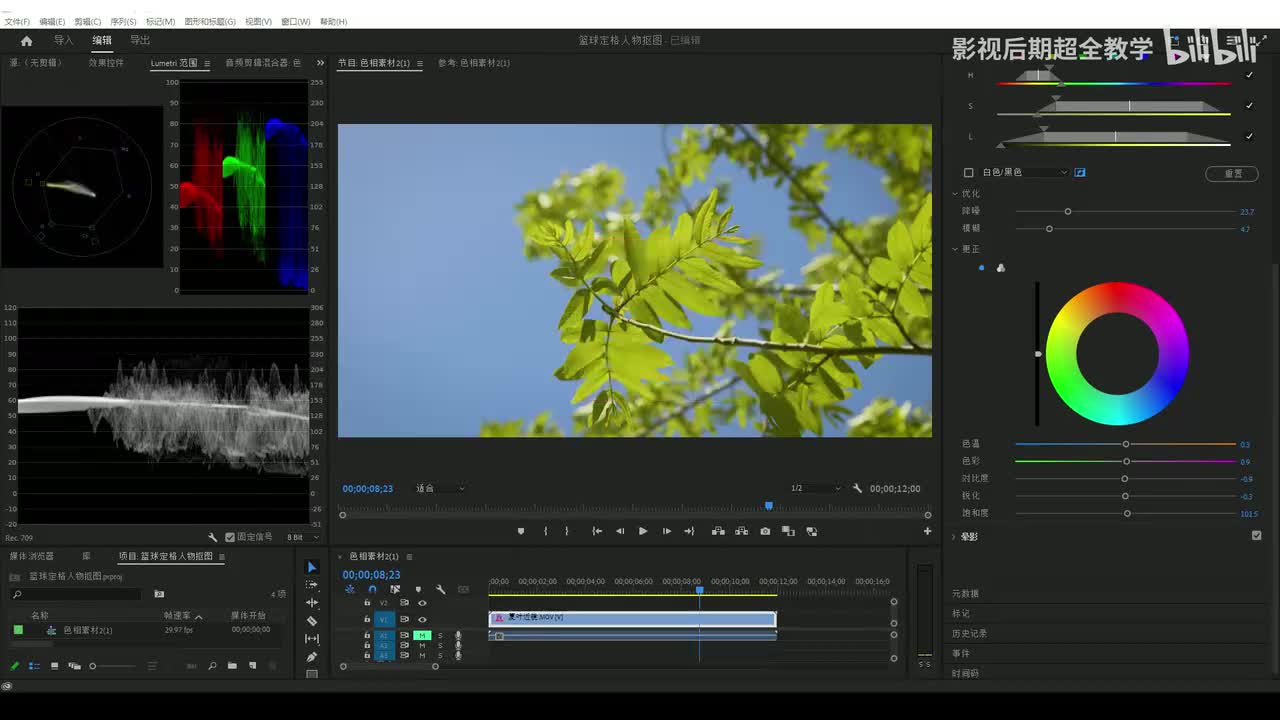 08【调色基础】叶子的调色---HSH辅助下