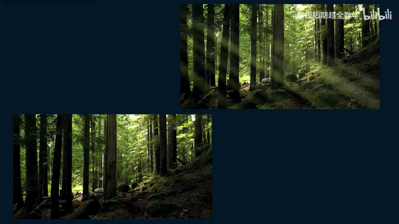 14.【练习题】丁达尔治愈系光束