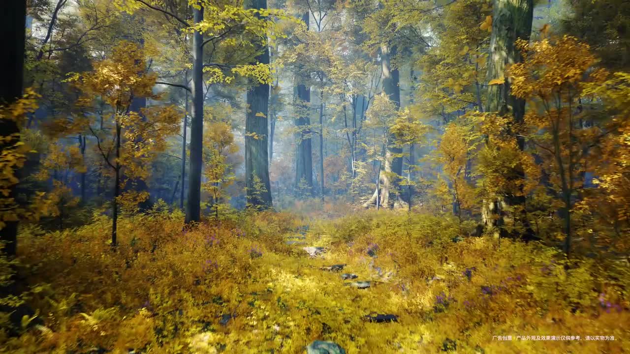 华为智慧屏 S5 Pro 2024 广告