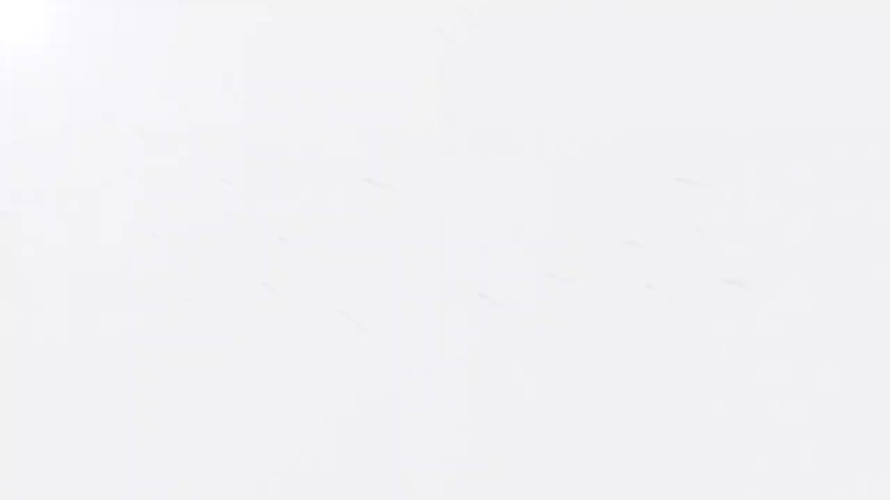 24、第五章 第一节 老年人安全防范及相关知识--第二节 老年人卫生防护知识1