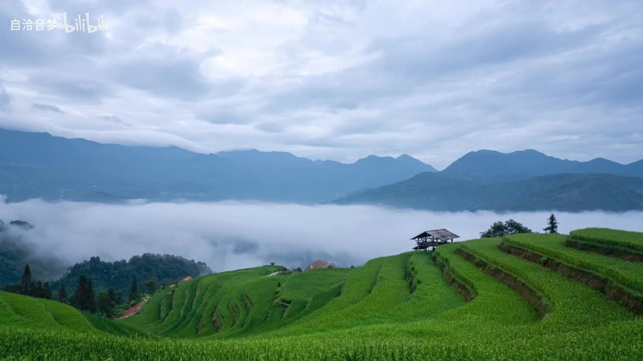 Michael Jackson_D.S.