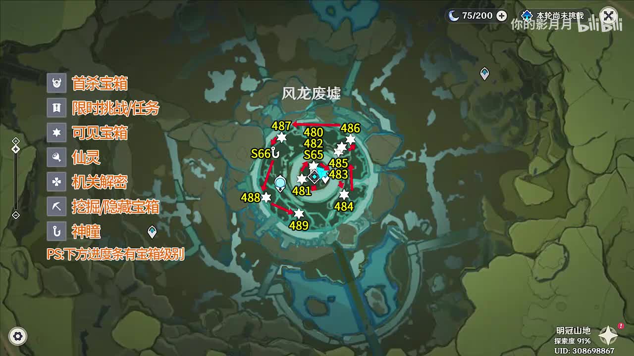 风龙废墟(6) 共10个(480-489)成就数486 神瞳65-66