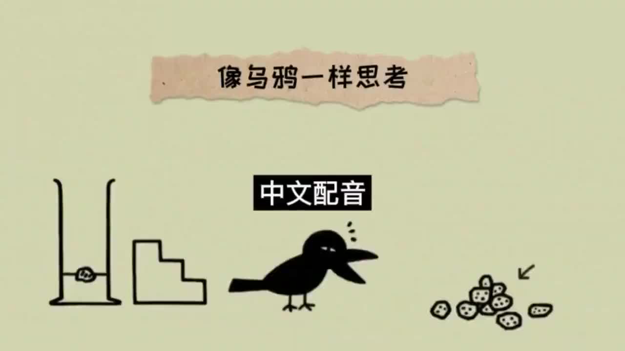 004. 中文配音 完整版《像乌鸦一样思考》 第四集