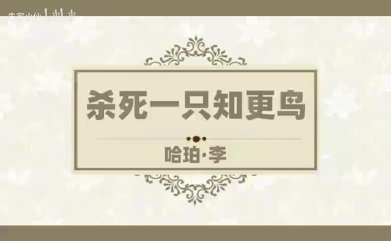 杀死一只知更鸟 (4)