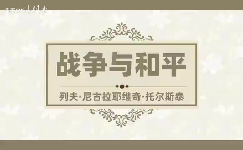 战争与和平 (15)