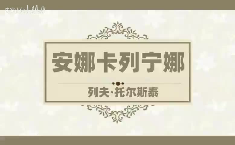 安娜卡列宁娜 (5)