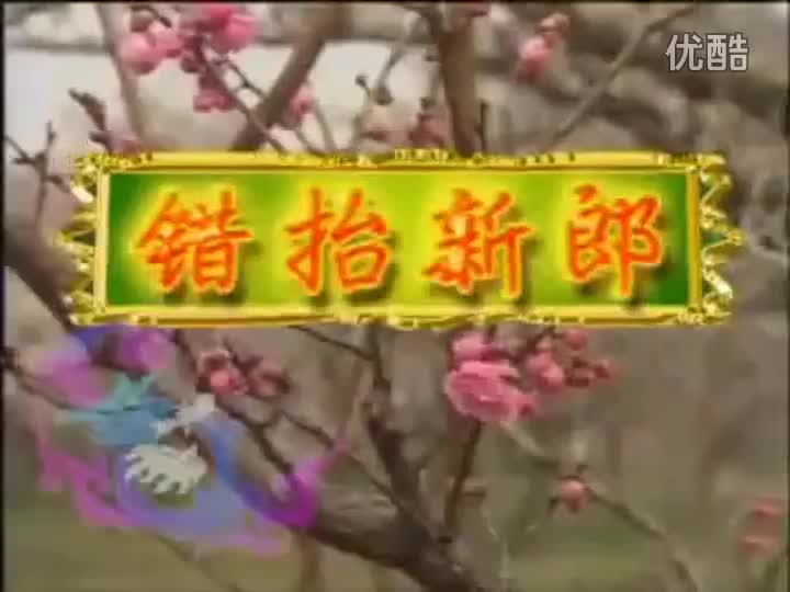 黄梅戏《错抬新郎》全剧_高清