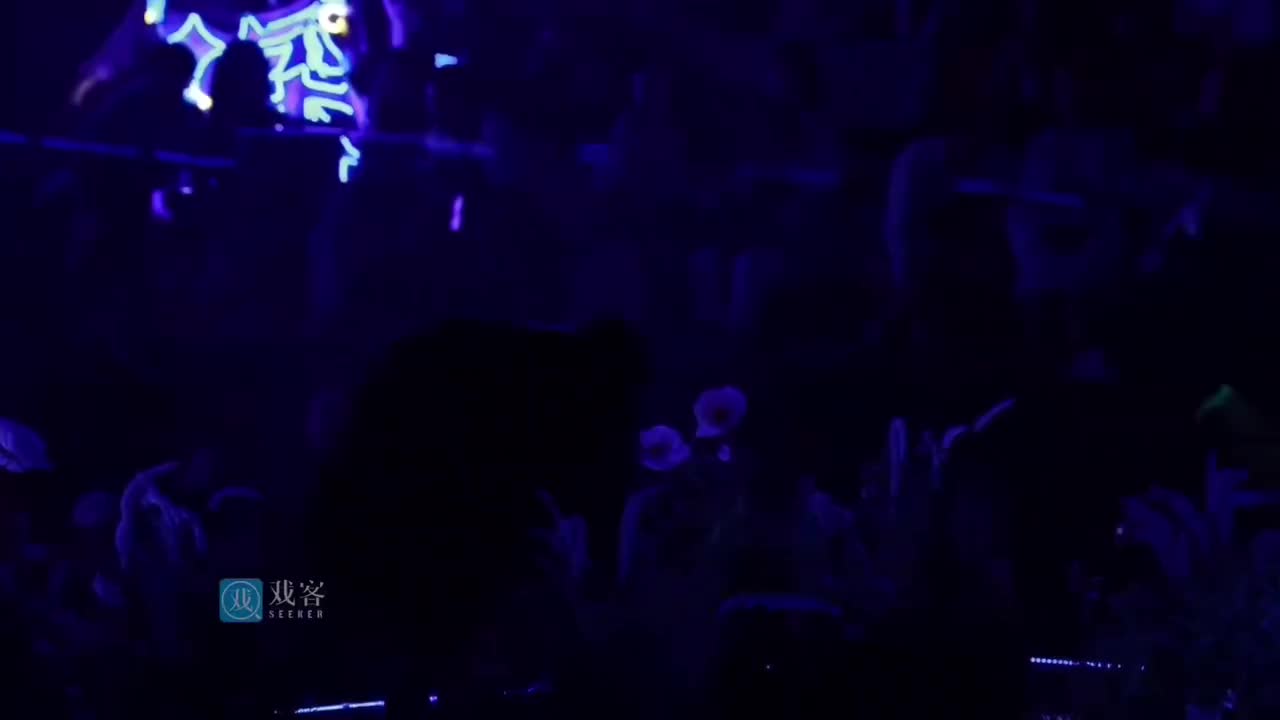 《小美满》《警报》《人是》《少管我》《璀璨冒险人》