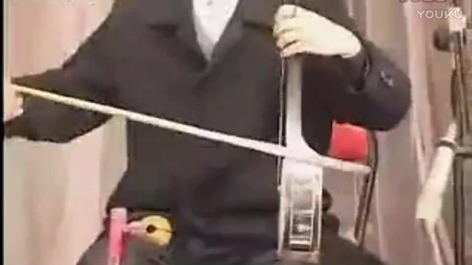 河南坠子【恶闺女】全集●胡中花●★_高清