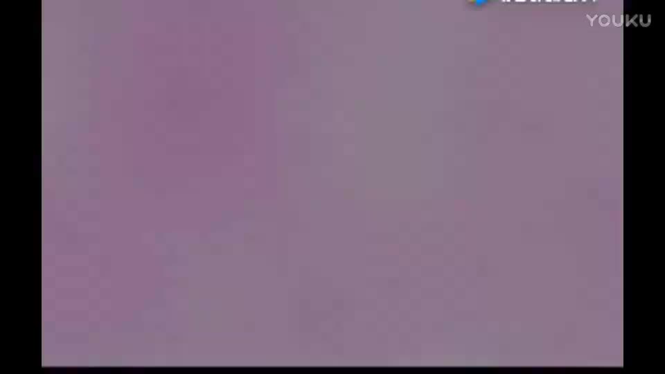 河南坠子《借书厢》胡中花演唱_高清