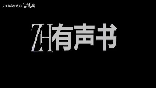 我的治愈系游戏__ZH有声书：___17