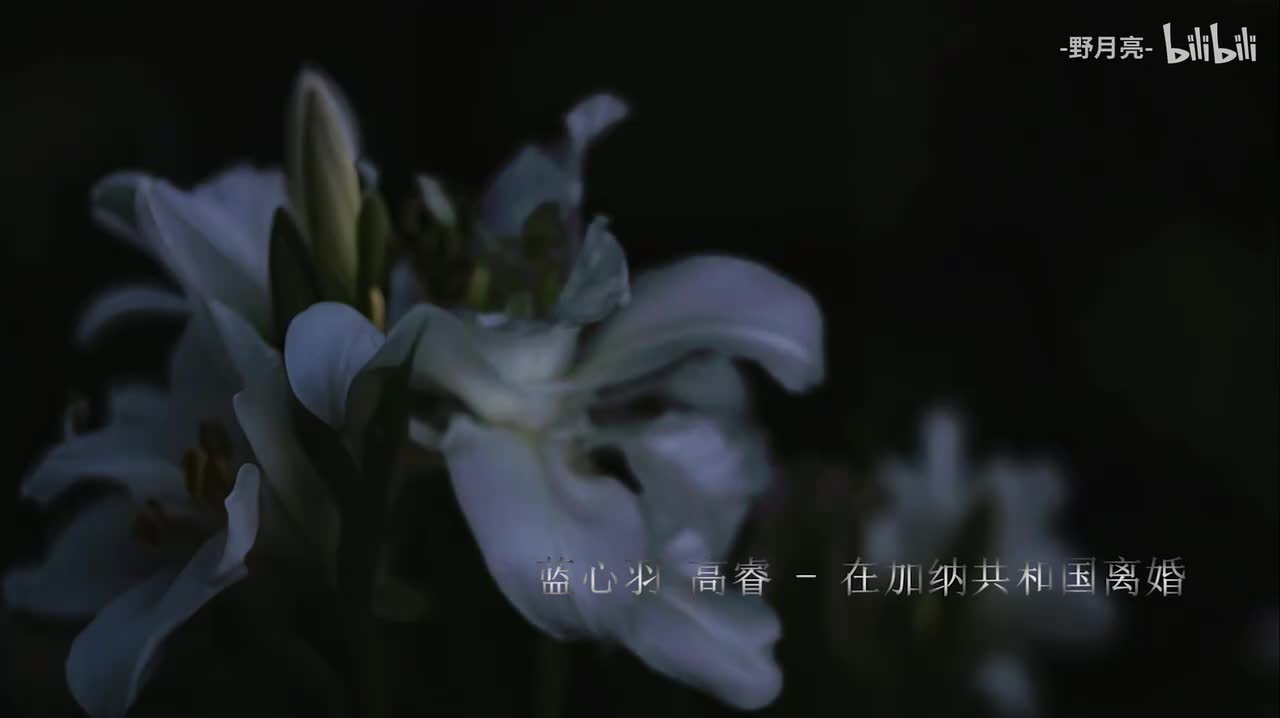Playlist｜午夜 更多的百合死于心碎｜华语 中文歌单 致郁纯爱｜雨声白噪音｜在加纳共和国离婚｜刻在我心底的名字｜清冷人声 钢琴曲