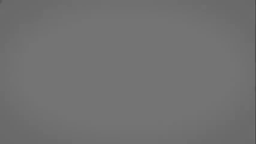 毗婆沙宗6：事的分类（下）