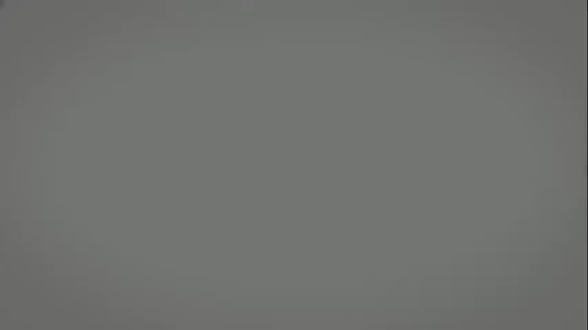 毗婆沙宗13：加行道（下）