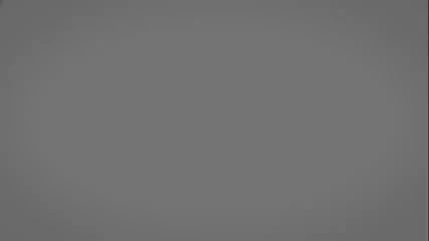 毗婆沙宗12：加行道（中）