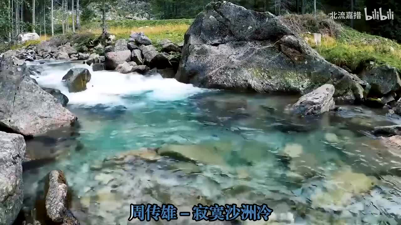 05.寂寞沙洲冷 - 周传雄