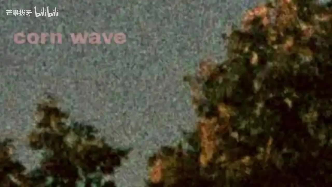 манго нектар（芒果花蜜）-无鼓伴奏