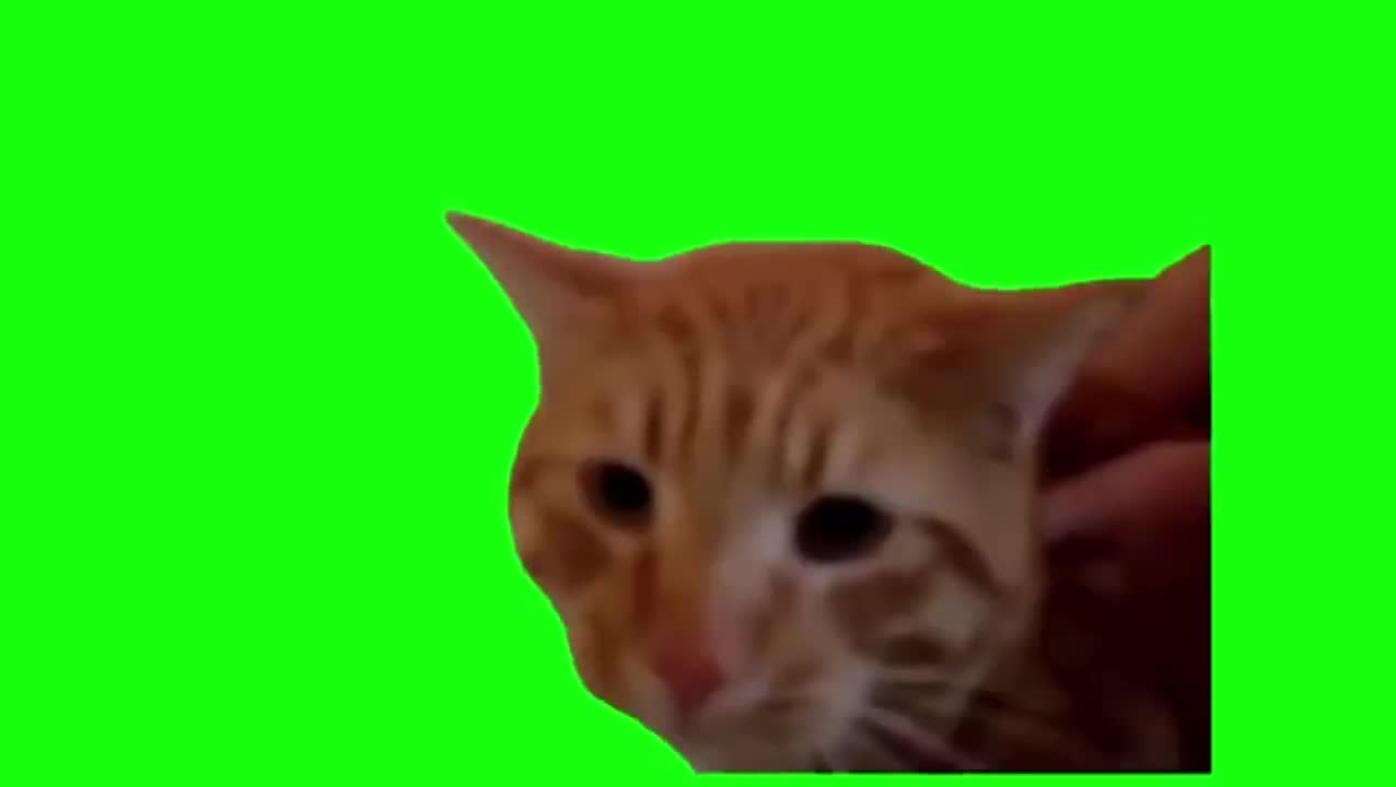 老吴猫（有声）