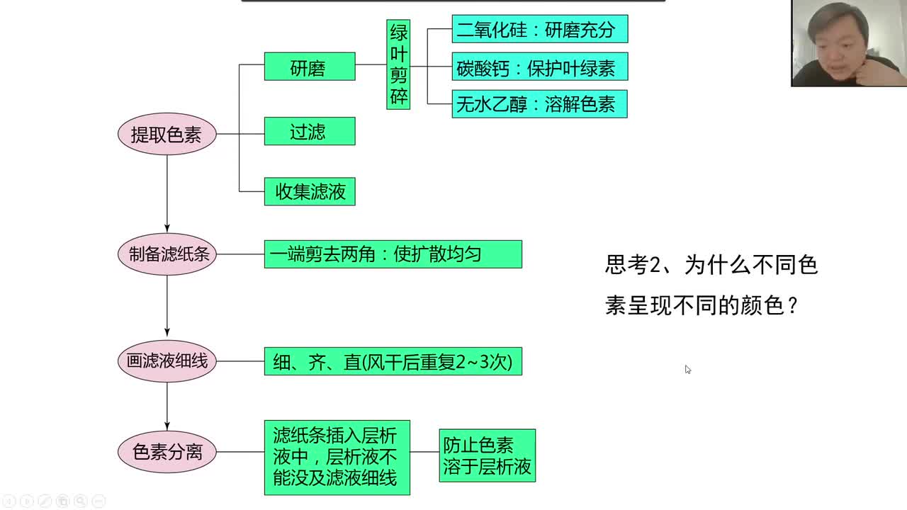 必修1第五章第4节：光合作用（9-2）色素的功能（吸收光谱）