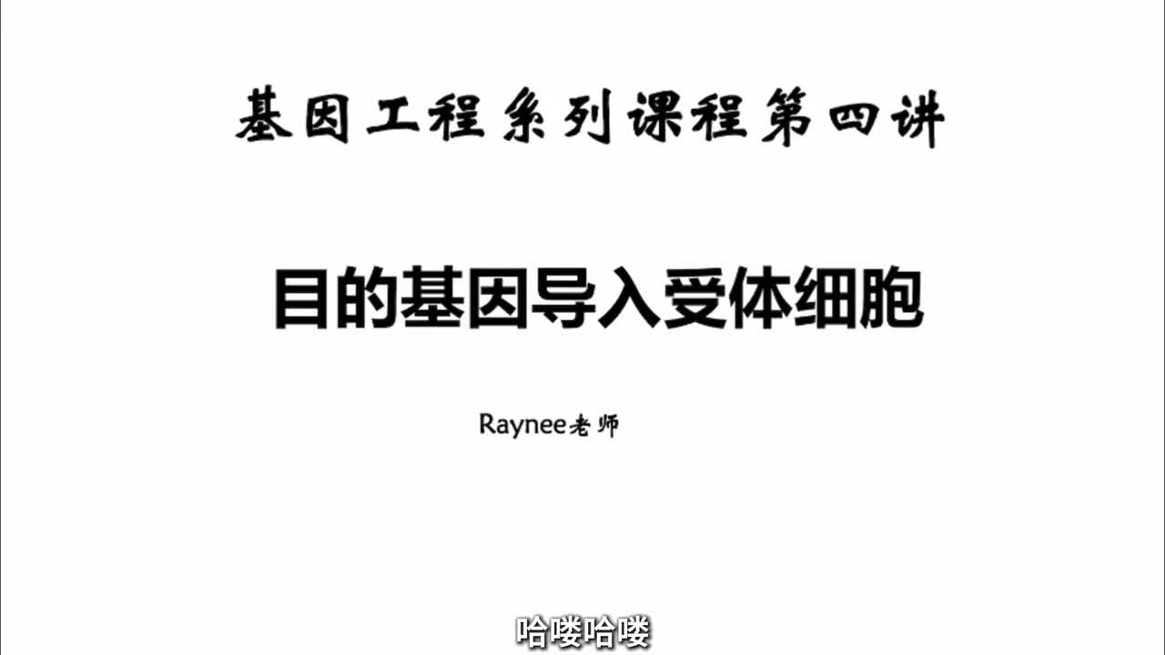 基因工程第四讲