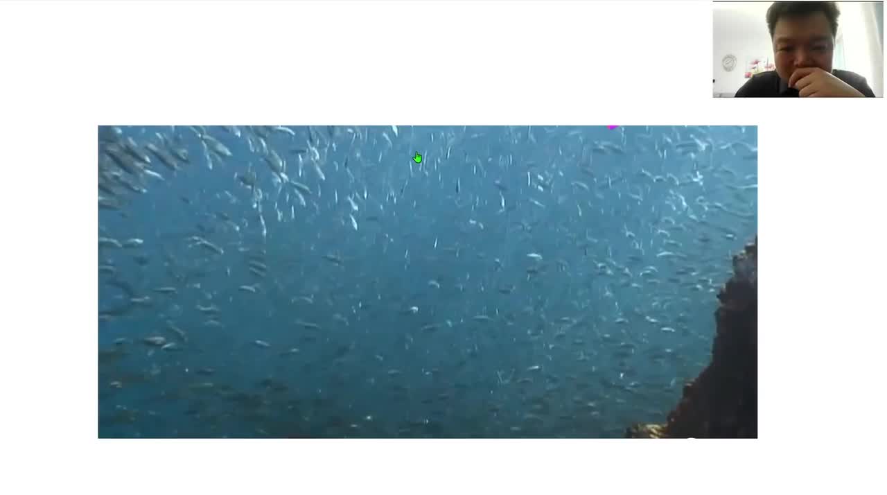 选2第一章第1节：种群的特征（3-2）种群密度及调查方法 （标志重捕法等其它方法）