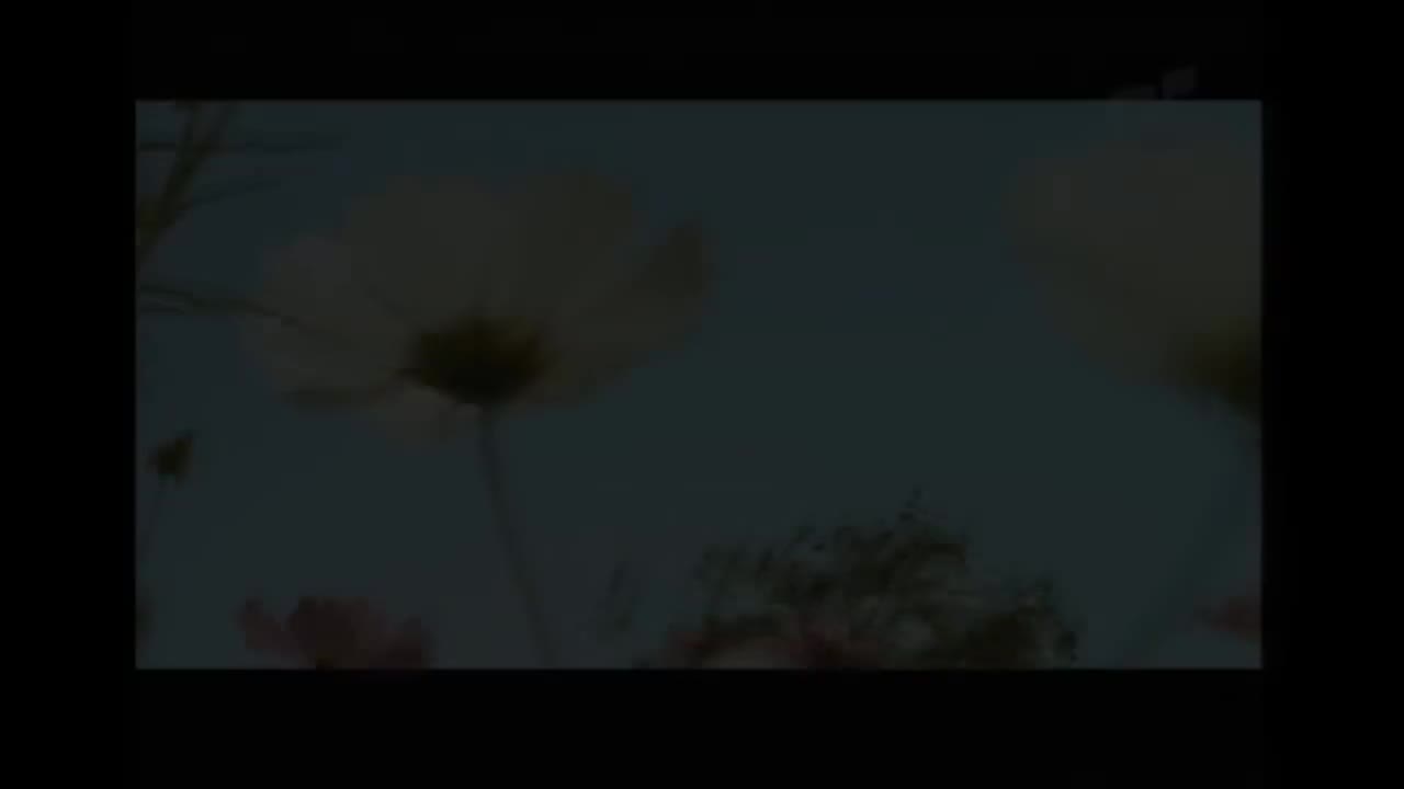 【9th 魔杰座】花海